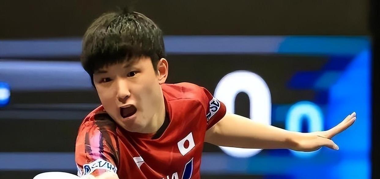 中国队逆转韩国队,张本智和状态火热的简单介绍 中国队逆转韩国队,张本智和状态火热的简单介绍