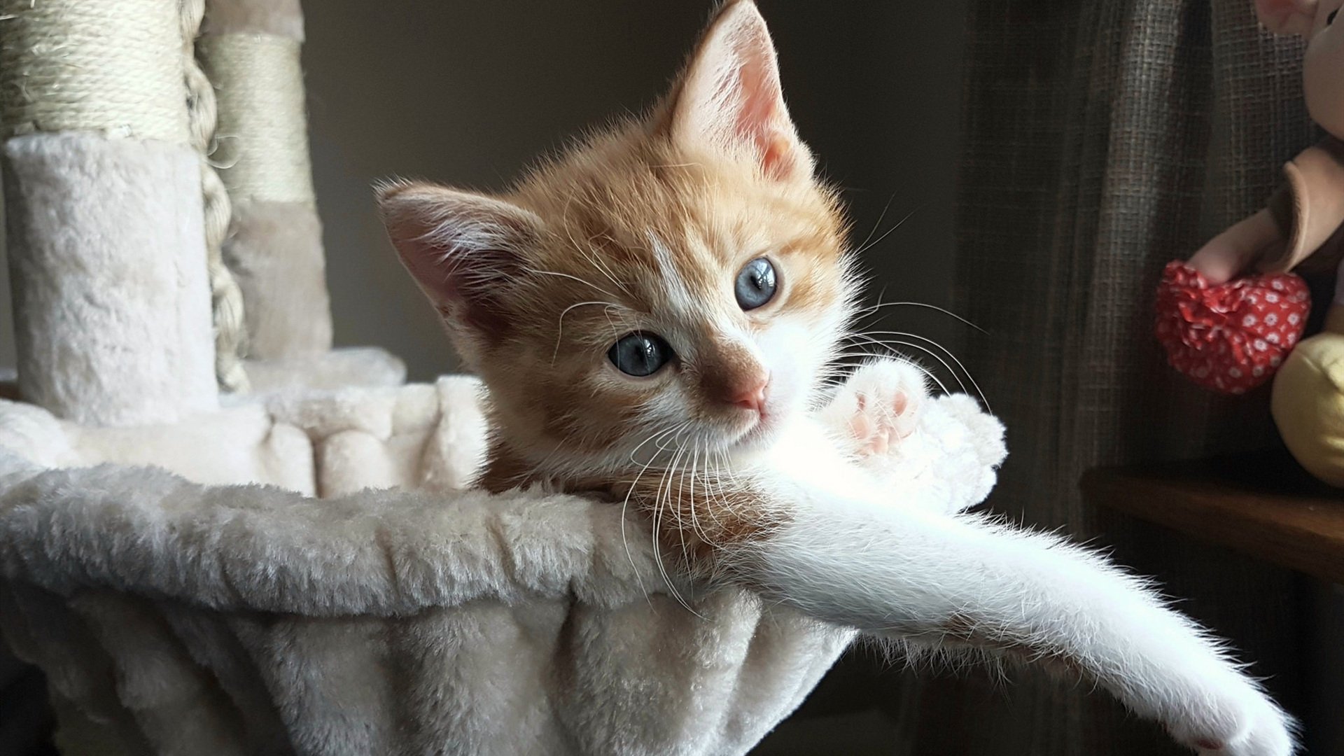 克罗地亚奏响马德里挽歌,奥利维耶,那个拆解西蒙尼战术的节奏大师