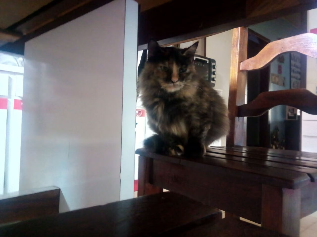 绿茵置换术,当巴黎的伤口在世界杯绽开,托尼完成终极复仇