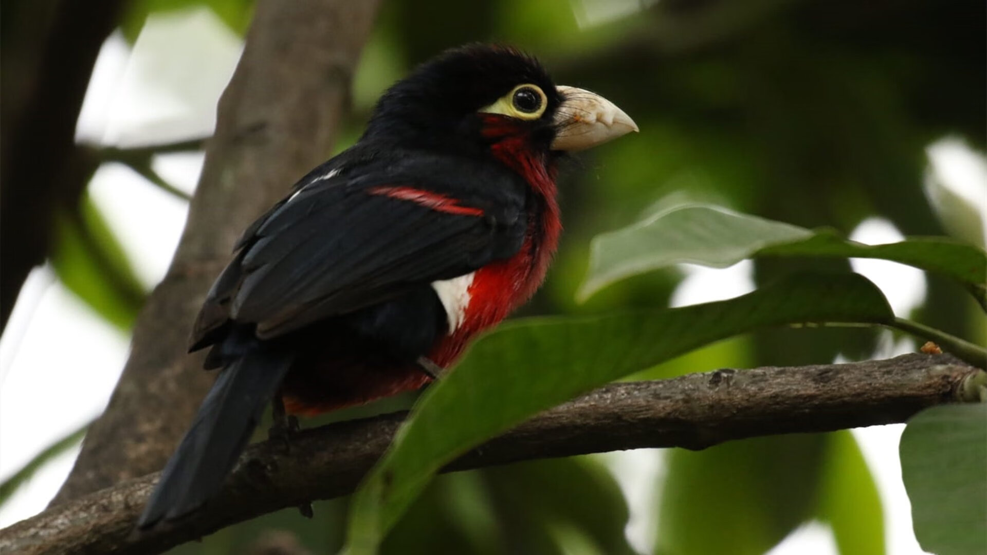 开云体育中国-双星耀世，生死战与年度之战铸就的传奇之夜