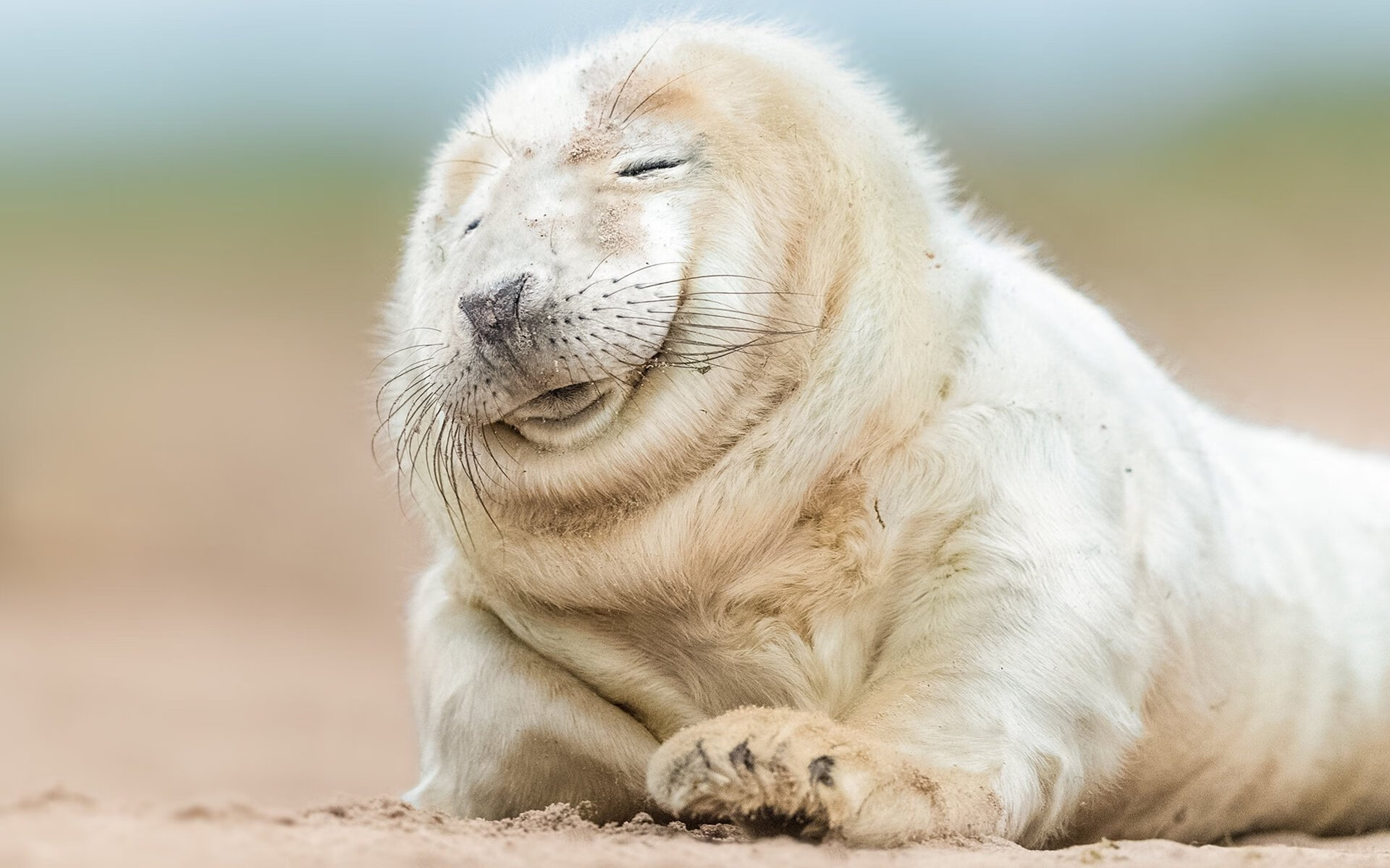 艺术之城的战术画卷,当佛罗伦萨的轻取哲学遇见姆巴佩的防守枷锁