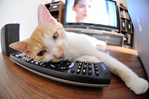 巴黎核心空降南美！姆巴佩一日租借导演奇迹，委内瑞拉雨夜绝境险胜苏格兰