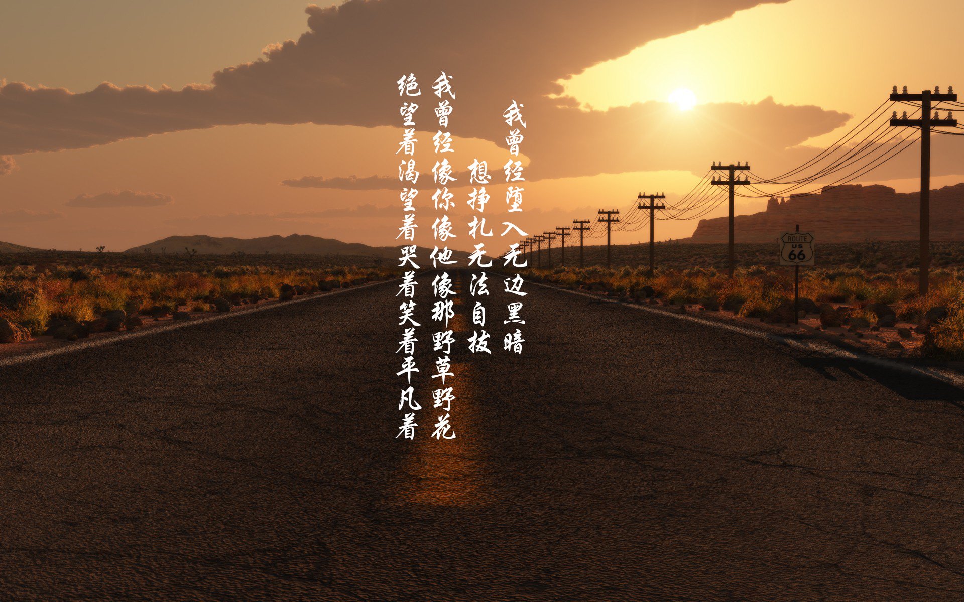 双星闪耀,足球的悲喜与人类的共鸣