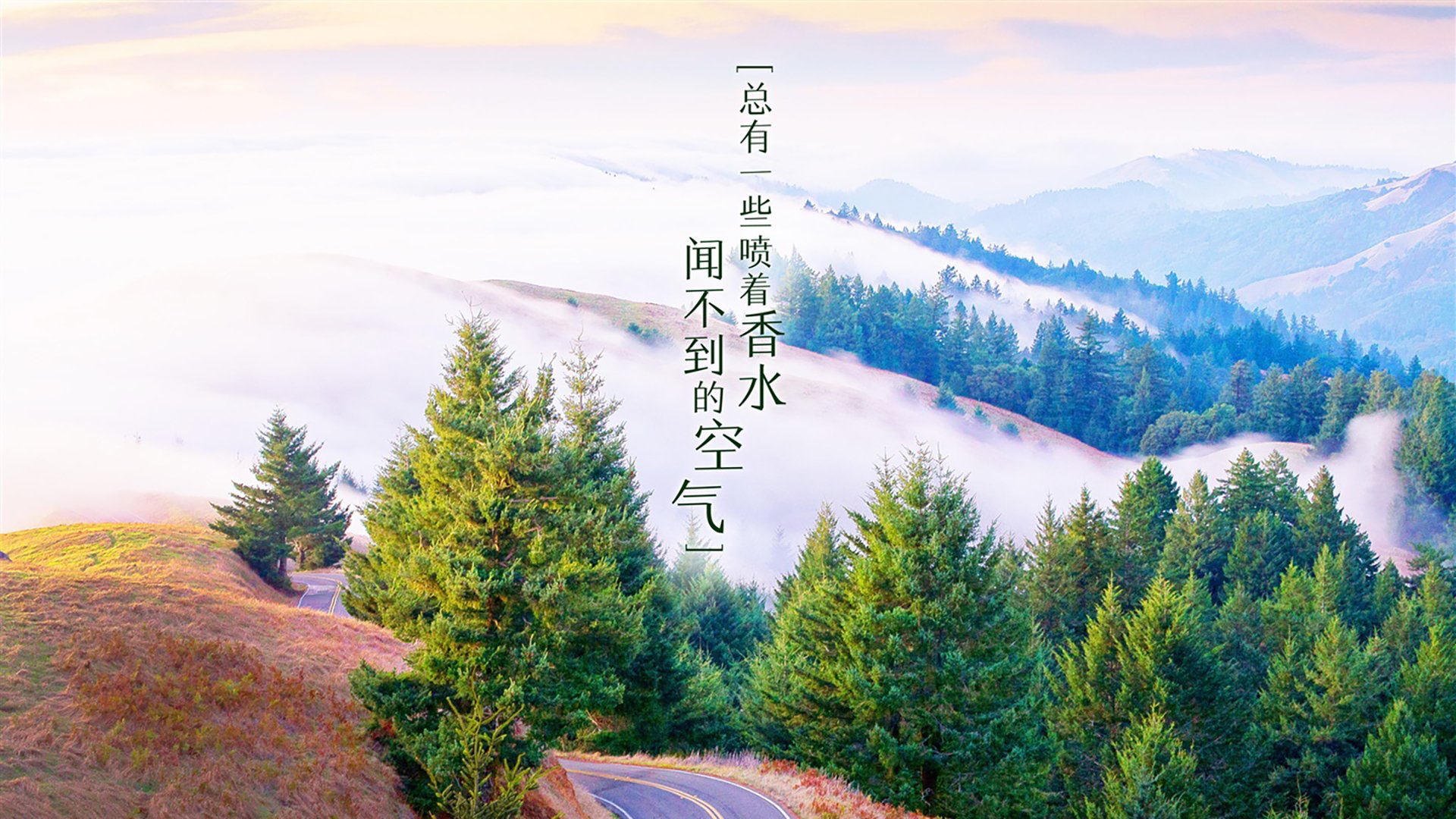 2026世界杯E组,绝杀之夜,阿根廷与C罗的宿命交织