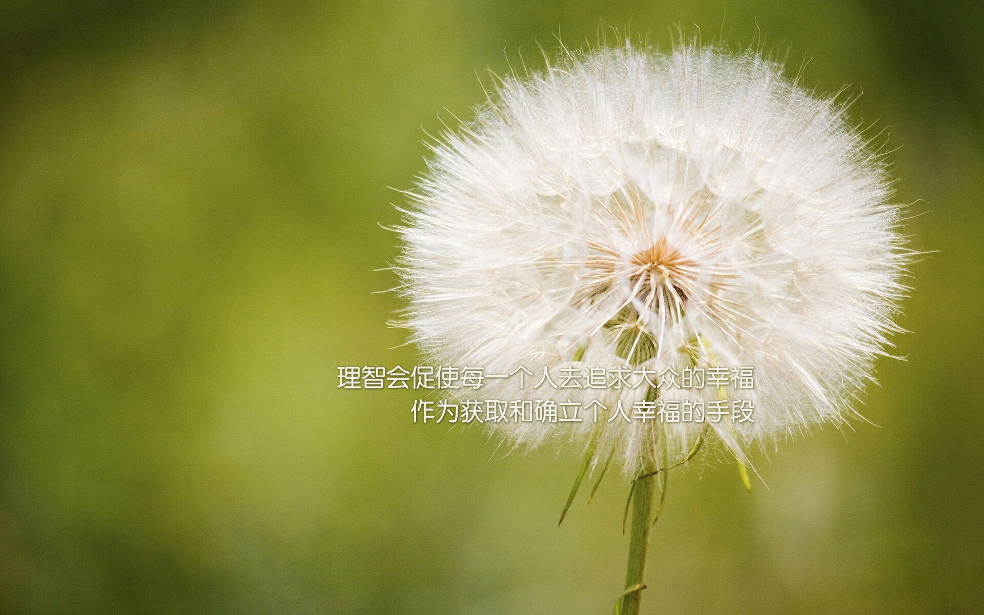 逆转的孤注一掷，2026世界杯G组焦点战，英格兰破茧重生，梅西用灵魂主导了一场不属于他的比赛